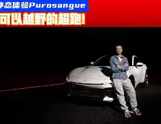 法拉利策略调整受质疑